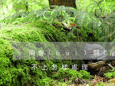 兩會(huì)關(guān)于信用卡還不上怎樣處理-