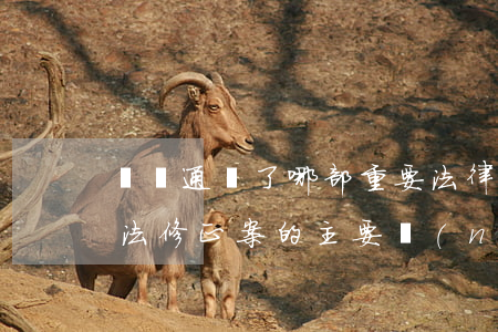 兩會通過了哪部重要法律(2018年兩會憲法修正案的主要內(nèi)容)