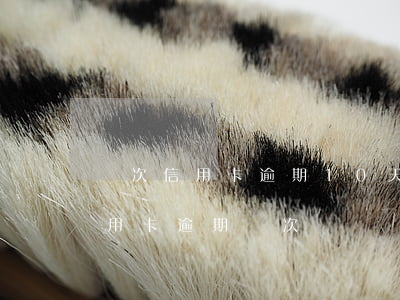 兩次信用卡逾期10天(一年內(nèi)信用卡逾期兩次)