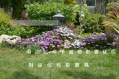 兩次信用卡逾期影響征信嗎(信用卡逾期3次對征信有影響嗎)