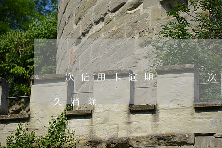 兩次信用卡逾期記錄(兩次信用卡逾期記錄多久消除)