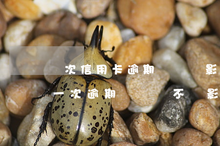 兩次信用卡逾期記錄會影響車貸嗎 貸款有過一次逾期記錄會不會影響買車分期