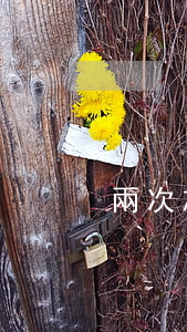 兩次忘記還信用卡