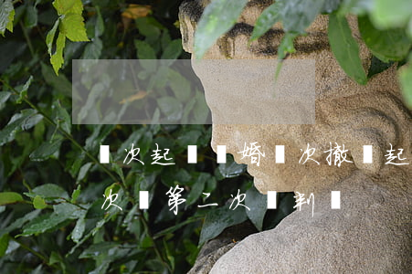 兩次起訴離婚兩次撤訴(起訴離婚撤訴了算一次嗎?第二次會判嗎)