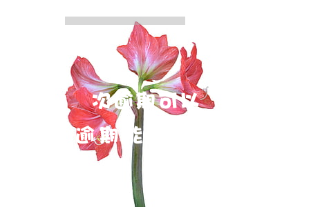兩次逾期可以貸款買房瑪(連續(xù)三次逾期能不能貸款買房)