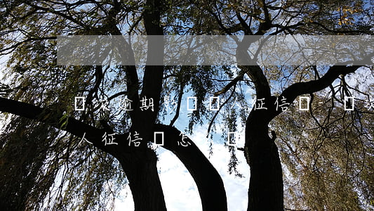 兩次逾期影響個人征信嗎-兩次逾期影響個人征信嗎怎么辦