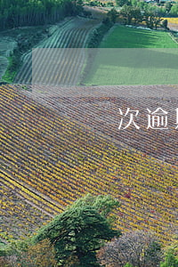 兩次逾期影響辦信用卡嗎