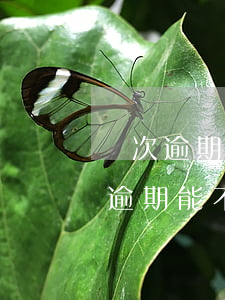 兩次逾期能不能申請(qǐng)房貸(兩次逾期能不能申請(qǐng)房貸)