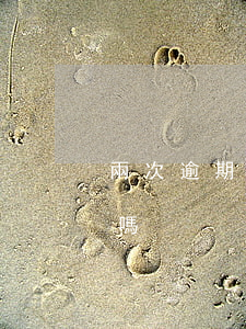 兩次逾期能貸款買房-兩次逾期能貸款買房嗎