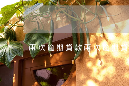 兩次逾期貸款（兩次逾期貸款）