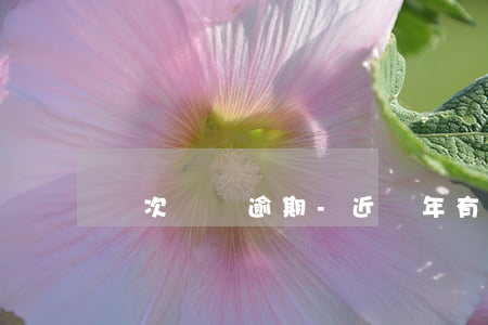 兩次還貸逾期-近兩年有一次逾期還款