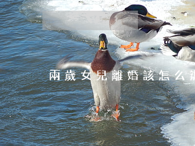 兩歲女兒離婚該怎么辦