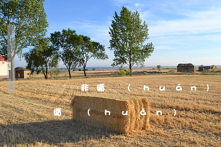 兩筆非循環(huán)貸一共逾期三次(非循環(huán)貸賬戶逾期一次可是我沒有逾期過呀)