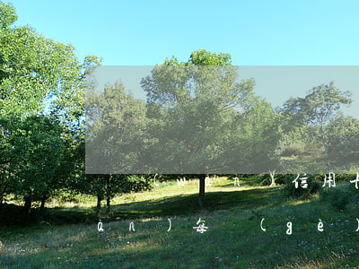 兩萬(wàn)信用卡利息(信用卡2萬(wàn)每個(gè)月利息多少)
