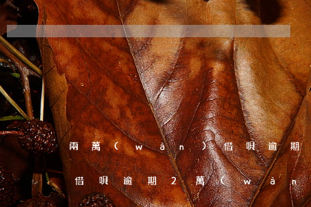 兩萬(wàn)借唄逾期一年的利息(支付寶借唄逾期2萬(wàn)一年會(huì)怎樣)