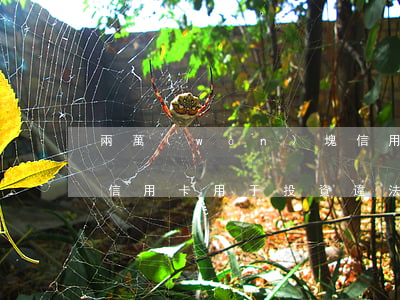 兩萬(wàn)塊信用卡私人投資算違法嗎(信用卡用于投資違法嗎)