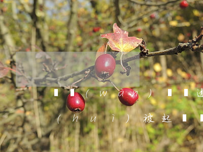 兩萬(wàn)塊錢逾期四個(gè)月會(huì)被起訴嗎(逾期四千多會(huì)被起訴嗎)