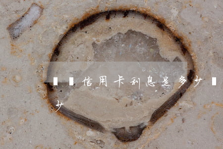 兩萬信用卡利息是多少(兩萬元信用卡利息多少)