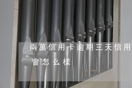 兩萬信用卡逾期三天(信用卡2萬逾期三個月會怎么樣)