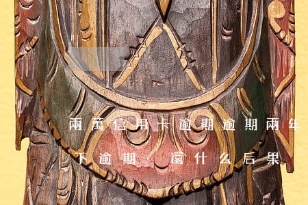 兩萬信用卡逾期逾期兩年沒還(信用卡2萬以下逾期沒還什么后果)