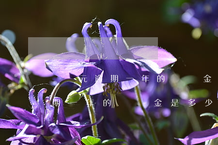 兩萬元逾期一年的滯納金是多少-兩萬元逾期一年的滯納金是多少錢