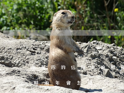 兩萬四的信用卡逾期會起訴嗎(信用卡4千逾期兩年會怎樣)