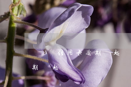 兩萬塊信用卡逾期會起訴嗎(兩萬塊信用卡逾期會起訴嗎)
