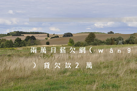 兩萬月薪欠網(wǎng)貸(網(wǎng)貸欠款2萬)