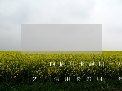 兩萬的信用卡逾期一年費(fèi)用多少（2萬信用卡逾期兩年還款多少）