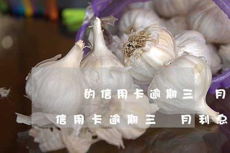 兩萬的信用卡逾期三個月利息多少?-兩萬的信用卡逾期三個月利息多少錢