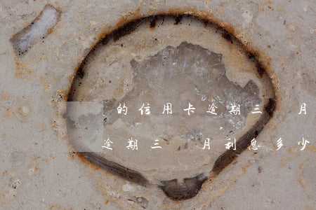 兩萬的信用卡逾期三個月利息多少?（信用卡一萬逾期三個月利息多少）