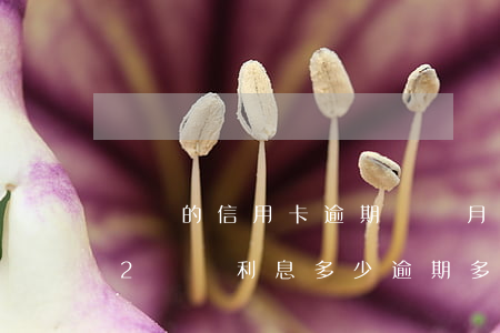 兩萬的信用卡逾期兩個月利息多少（信用卡借2萬萬利息多少逾期多少）
