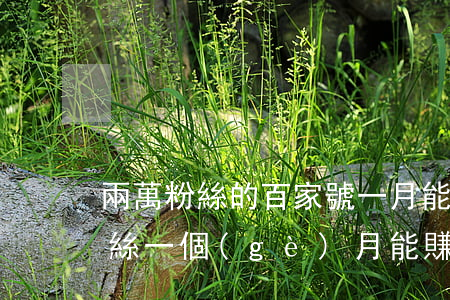 兩萬粉絲的百家號一月能掙多少錢(一百萬粉絲一個(gè)月能賺多少錢)