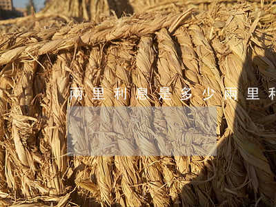 兩里利息是多少(兩里利息是多少利率)
