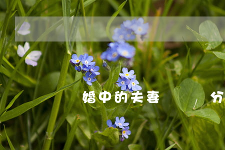 兩頭婚中的夫妻財產劃分
