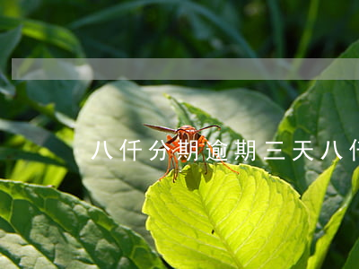 八仟分期逾期三天(八仟分期逾期三天怎么辦)