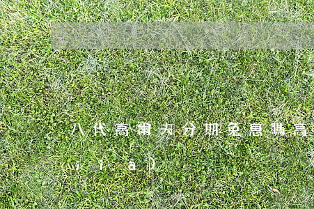 八代高爾夫分期免息嗎(高爾夫八代落地價(jià))