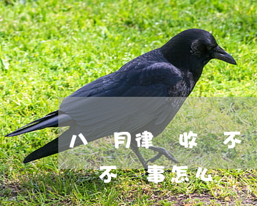 八個月律師收錢不辦事怎么辦(八個月律師收錢不辦事怎么辦)
