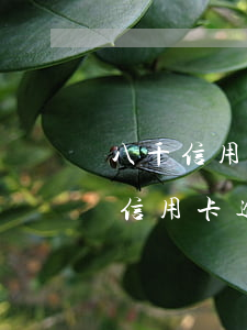 八千信用卡逾期手續(xù)費(fèi)(信用卡逾期800塊錢(qián)嚴(yán)重嘛)