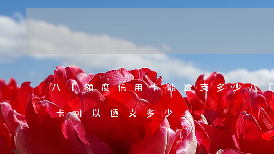 八千額度信用卡能透支多少(八千額度的信用卡可以透支多少)