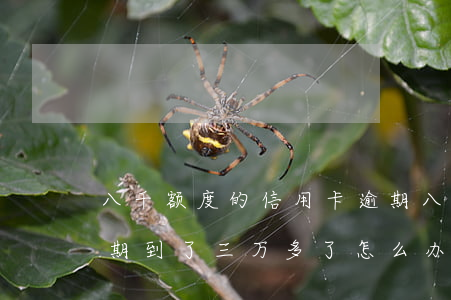 八千额度的信用卡逾期(八千额度的信用卡逾期到了三万多了怎么办)