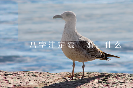 八字注定要離婚準(什么樣的八字必定離婚)