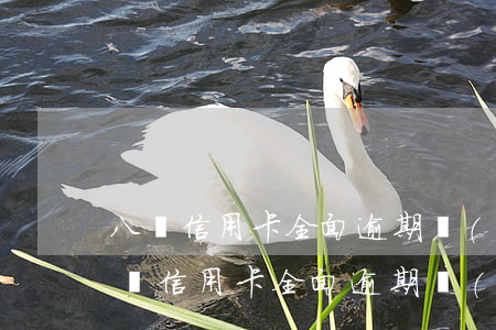 八張信用卡全面逾期會(huì)怎么樣(八張信用卡全面逾期會(huì)怎么樣嗎)
