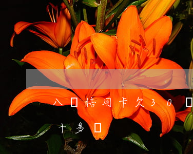 八張信用卡欠30萬怎么還(9張信用卡欠三十多萬)