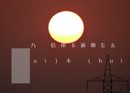 八張信用卡逾期怎么辦(有八張信用卡會(huì)不會(huì)征信高危)