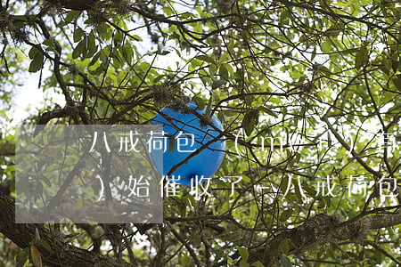 八戒荷包沒(méi)有逾期就開(kāi)始催收了-八戒荷包沒(méi)有逾期就開(kāi)始催收了怎么回事