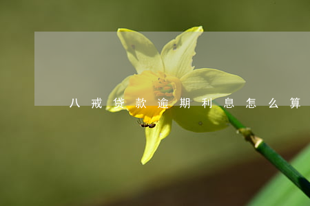 八戒贷款逾期利息怎么算