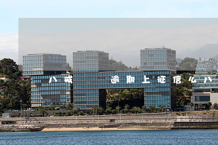 八戒錢貸逾期上征信么(八戒分期上不上征信)