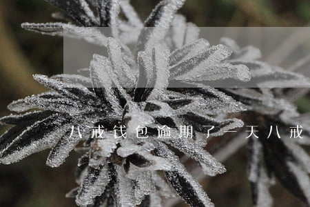 八戒钱包逾期了一天 八戒钱包逾期了一天