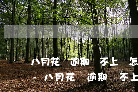 八月花唄逾期還不上該怎么協(xié)商-八月花唄逾期還不上該怎么協(xié)商還款